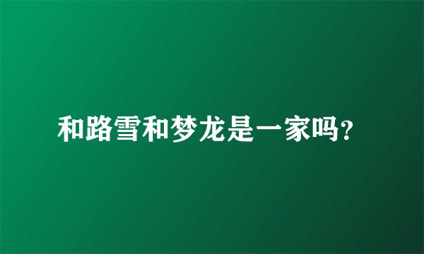 和路雪和梦龙是一家吗？