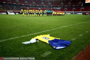 青岛中能更名为青岛海牛,为何网友说“青岛海牛又回来了”?