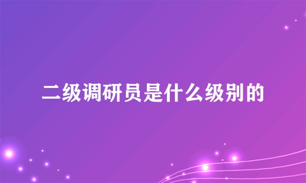 二级调研员是什么级别的