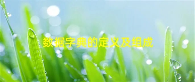 数据字典的定义及组成