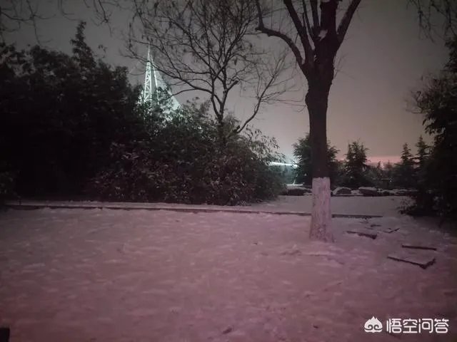 有哪些堆的雪人图片分享？