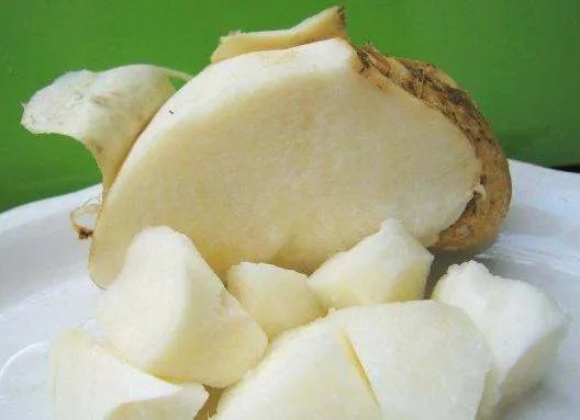 雪参果的主要价值