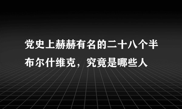 党史上赫赫有名的二十八个半布尔什维克，究竟是哪些人