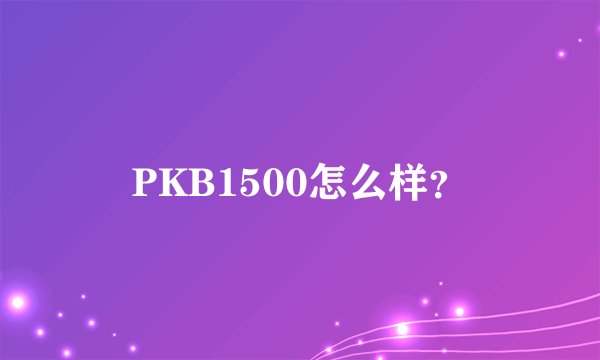PKB1500怎么样？