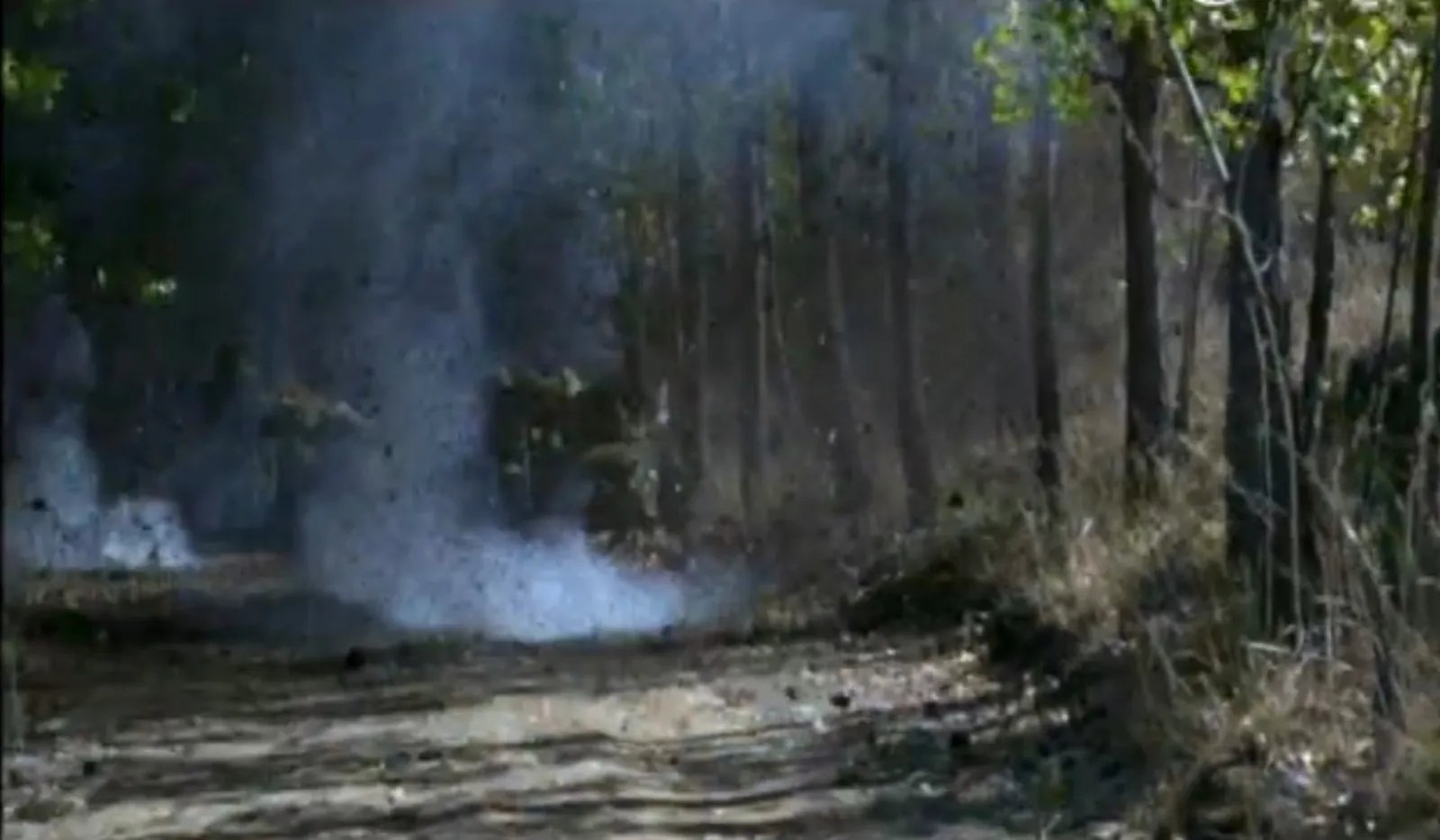 《民兵康宝》周璞勇挑大梁变身“草根英雄”,它算是一部抗战雷剧嘛?