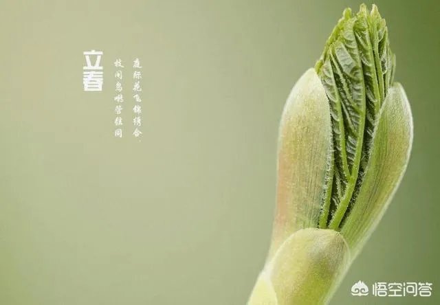 农村俗语“七年难逢九月闰,百年难逢初一春”,是什么意思?