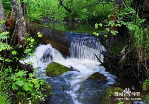 黑龙江省伊春市旅游景点大全