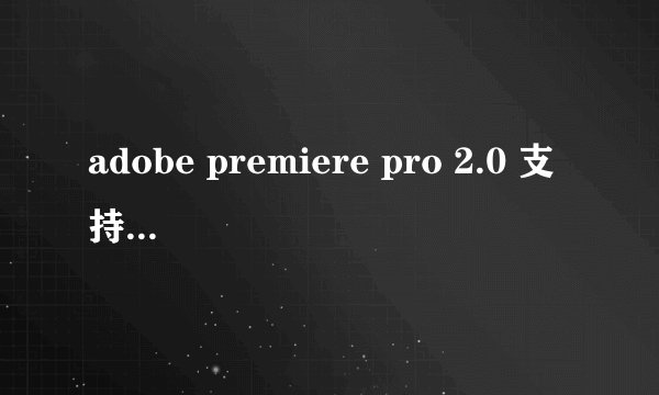 adobe premiere pro 2.0 支持win7 64位系统吗？