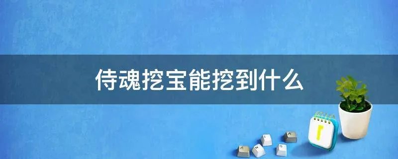 侍魂挖宝能挖到什么