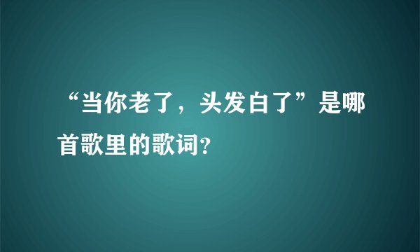 “当你老了，头发白了”是哪首歌里的歌词？