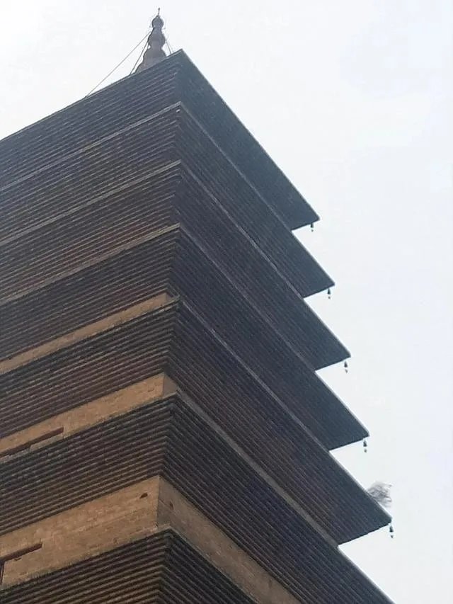 程晓玥取关郑恺，恩爱情侣是否已分手？