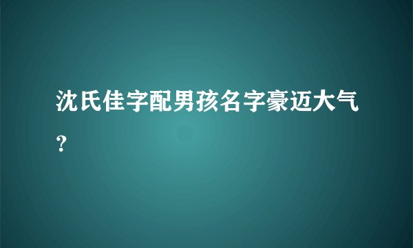 沈氏佳字配男孩名字豪迈大气？