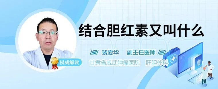 结合胆红素又叫什么