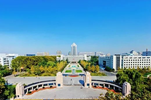 怎么看待山东大学“1个留学生配3个学伴”的做法？