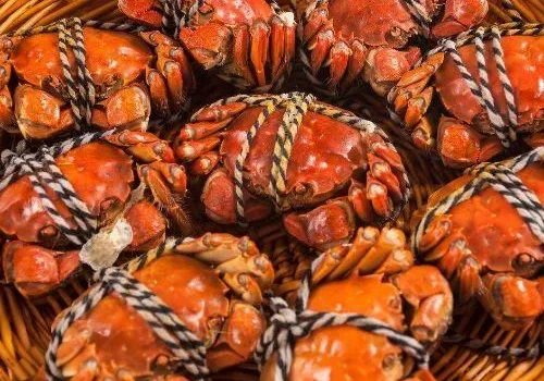 东营的特产有哪些?