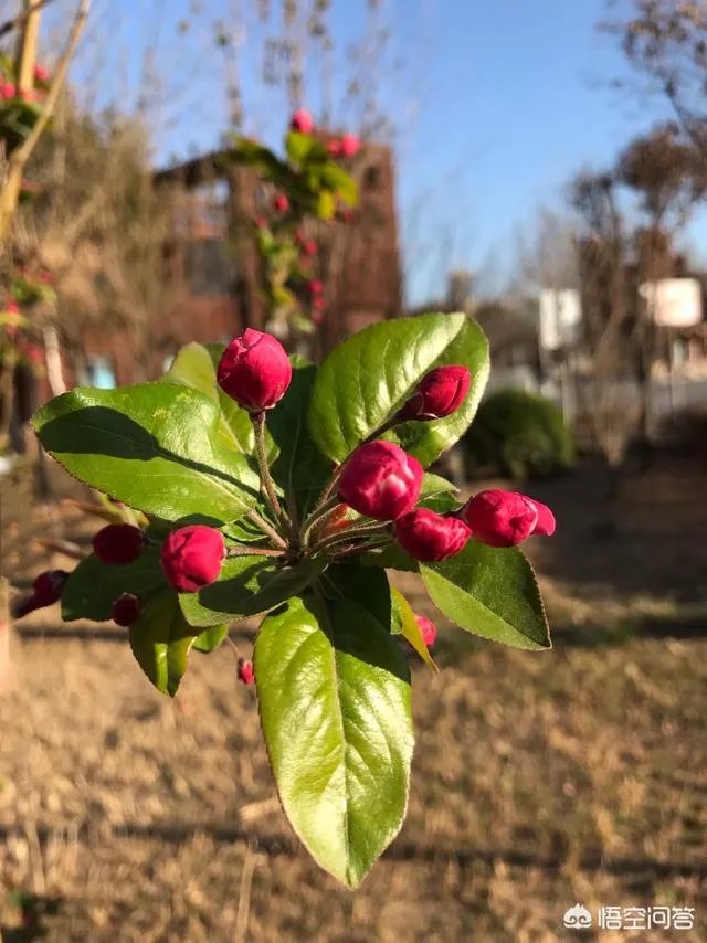 你见过最有趣的P图是怎样的,举例说明下?