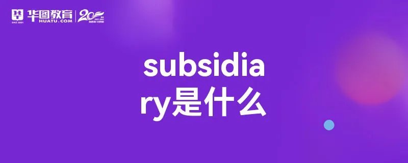 subsidiary是什么