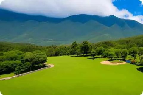 魏国四聪之一邓飏的简介 邓飏最后怎么死的历史名人