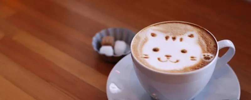 拿铁与咖啡的区别是什么