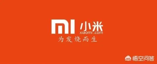 全球范围内，2018年你觉得哪些超级独角兽会上市？为什么？