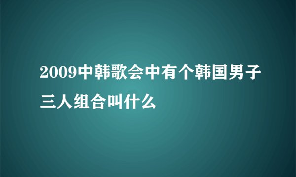2009中韩歌会中有个韩国男子三人组合叫什么