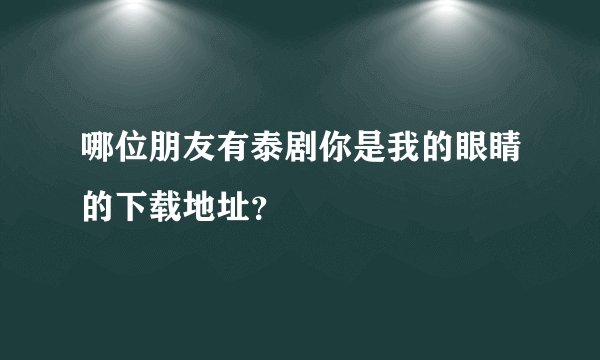 哪位朋友有泰剧你是我的眼睛的下载地址？