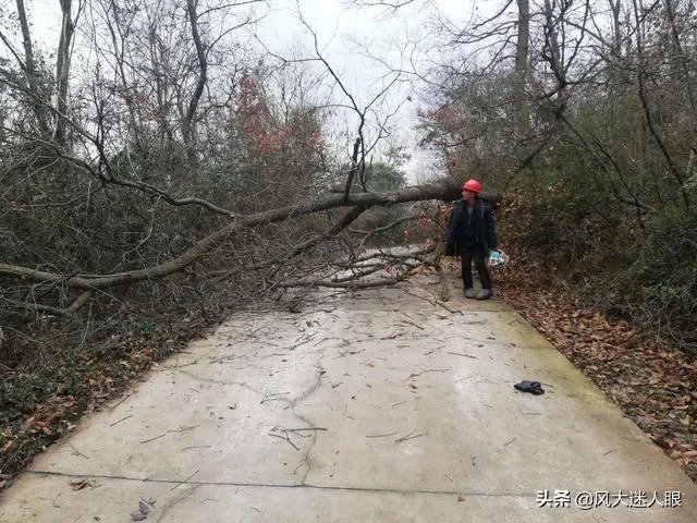 山东什么时候解除村庄封闭?