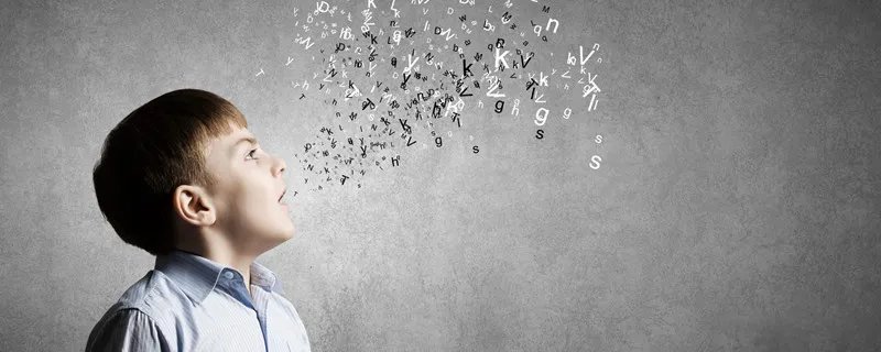 元音音标有哪些