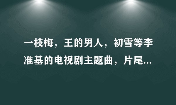一枝梅，王的男人，初雪等李准基的电视剧主题曲，片尾曲，插曲分别是什么