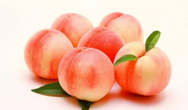 桃子是热性还是凉性的食物