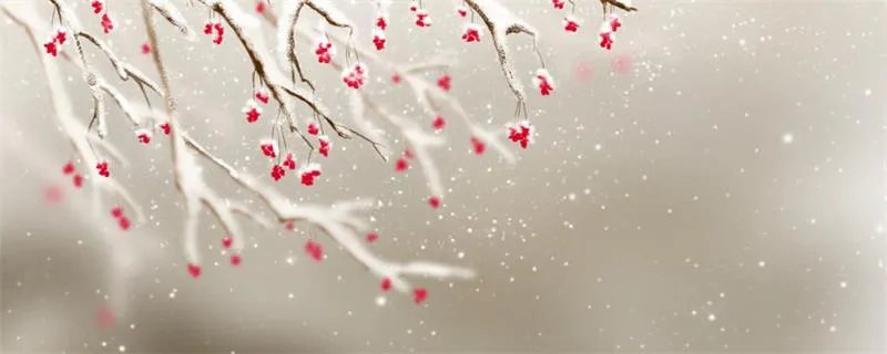 她在丛中笑的上一句是什么诗 她在丛中笑的上一句是什么