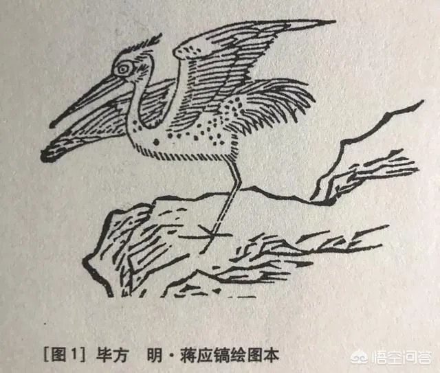 你认为《山海经》里面最强的十大神兽是什么？