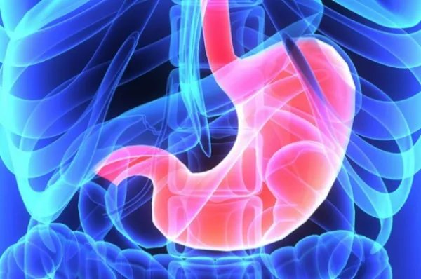 胃的拼音怎么写的拼音