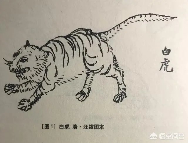 你认为《山海经》里面最强的十大神兽是什么？