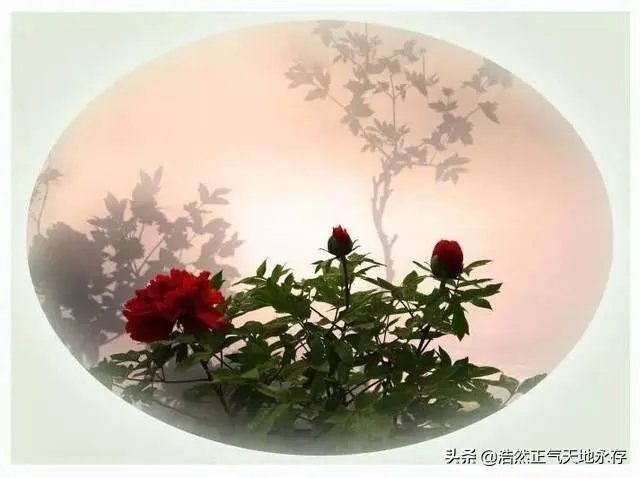 菏泽牡丹很有名么?