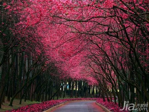 xp怎么设置定时关机 使用XP定时关机命令设置方法详解