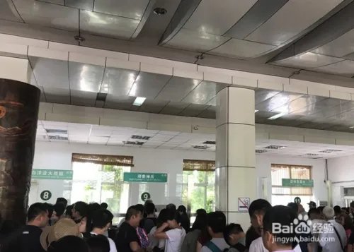 白洋淀旅游攻略一日游