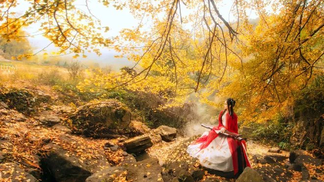 第十二个节气是什么