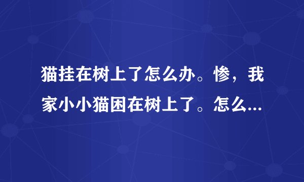 猫挂在树上了怎么办。惨,我家小小猫困在树上了。怎么办呢?119,没人管。唉。快一天了,怎么办呢