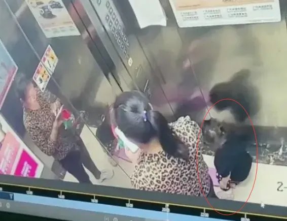 女童被保姆遗留电梯后从8楼坠亡,家长愤而质疑,此事背后有何疑点?