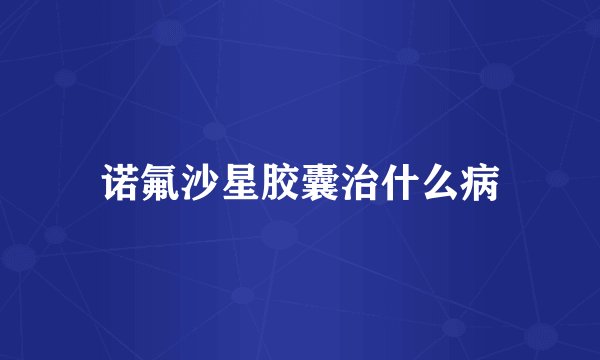 诺氟沙星胶囊治什么病