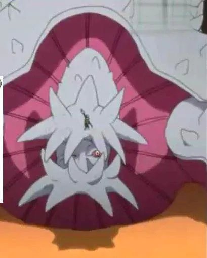 火影忍者尾兽介绍及图片