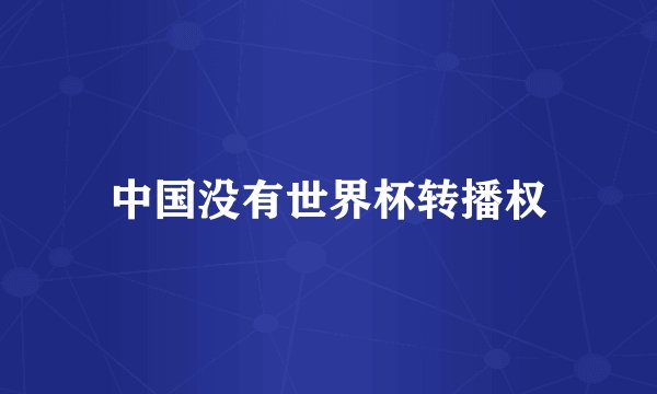 中国没有世界杯转播权