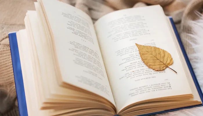 吸引力法则是什么 什么是吸引力法则