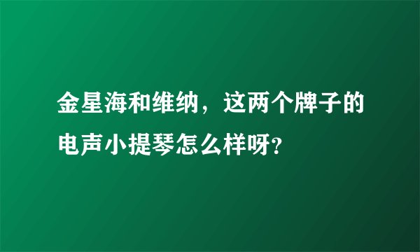 金星海和维纳，这两个牌子的电声小提琴怎么样呀？