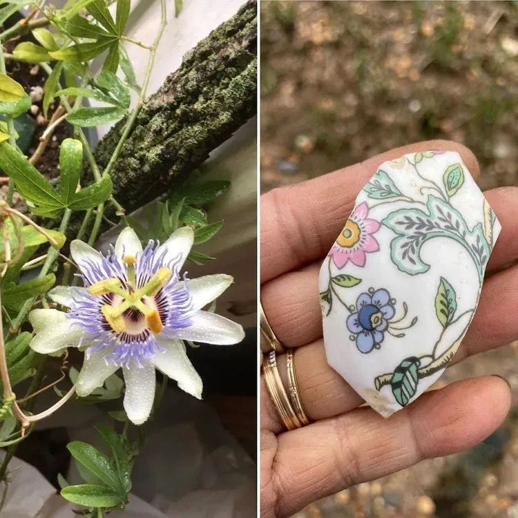 捡垃圾没出息？他在凌晨3点做了一生中最有意义的事情