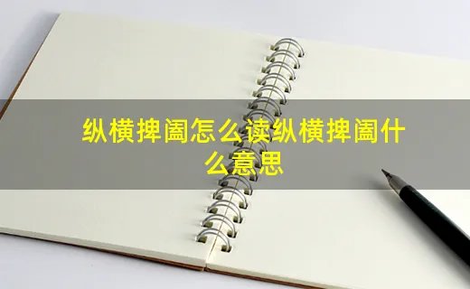 纵横捭阖怎么读纵横捭阖什么意思