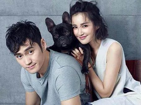 袁弘被夸为真正好男人，他到底都做了什么吗？