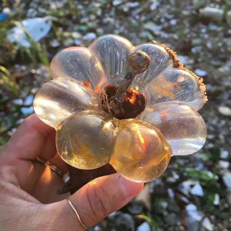 捡垃圾没出息？他在凌晨3点做了一生中最有意义的事情