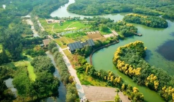 广州圣诞节去哪里玩比较好